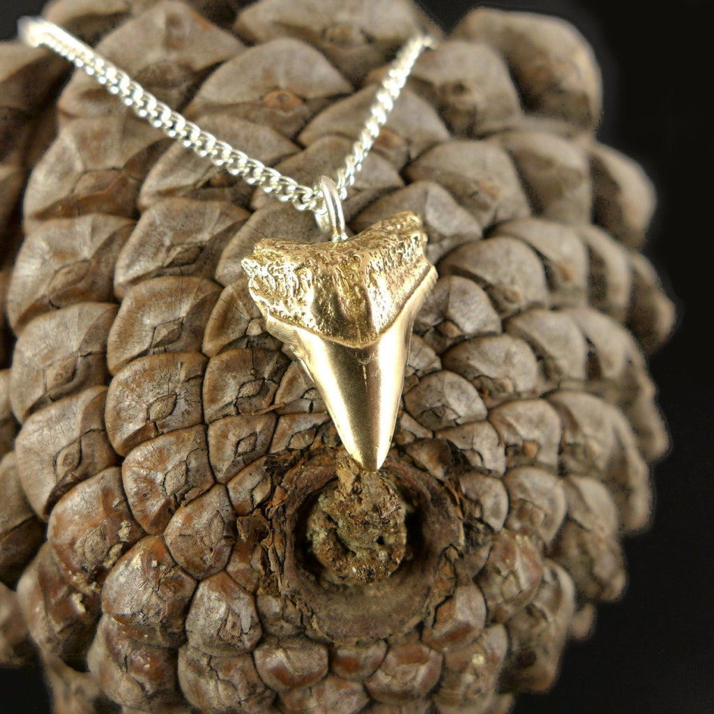Sharks tooth necklace