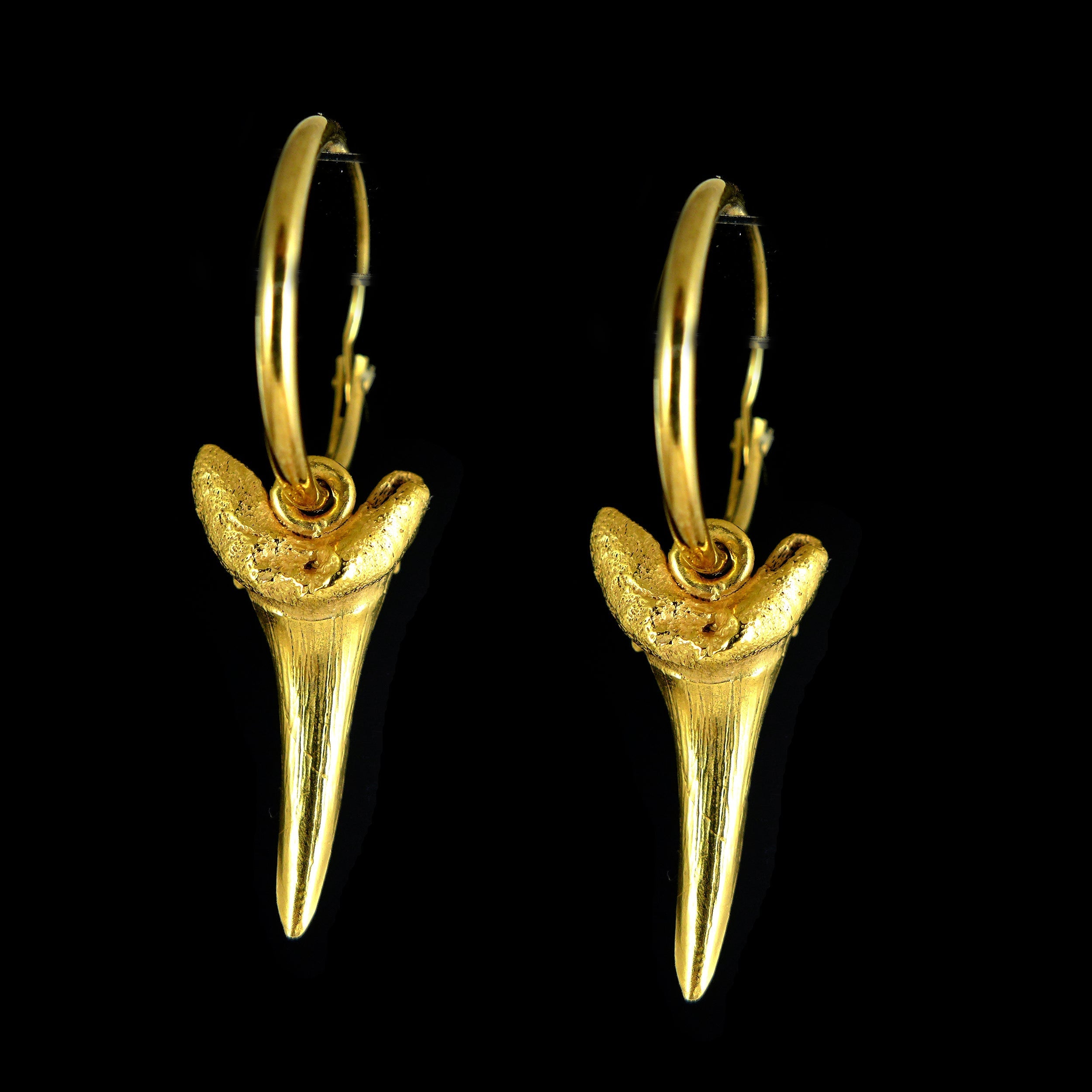 Gold Sharks Tooth Earrings