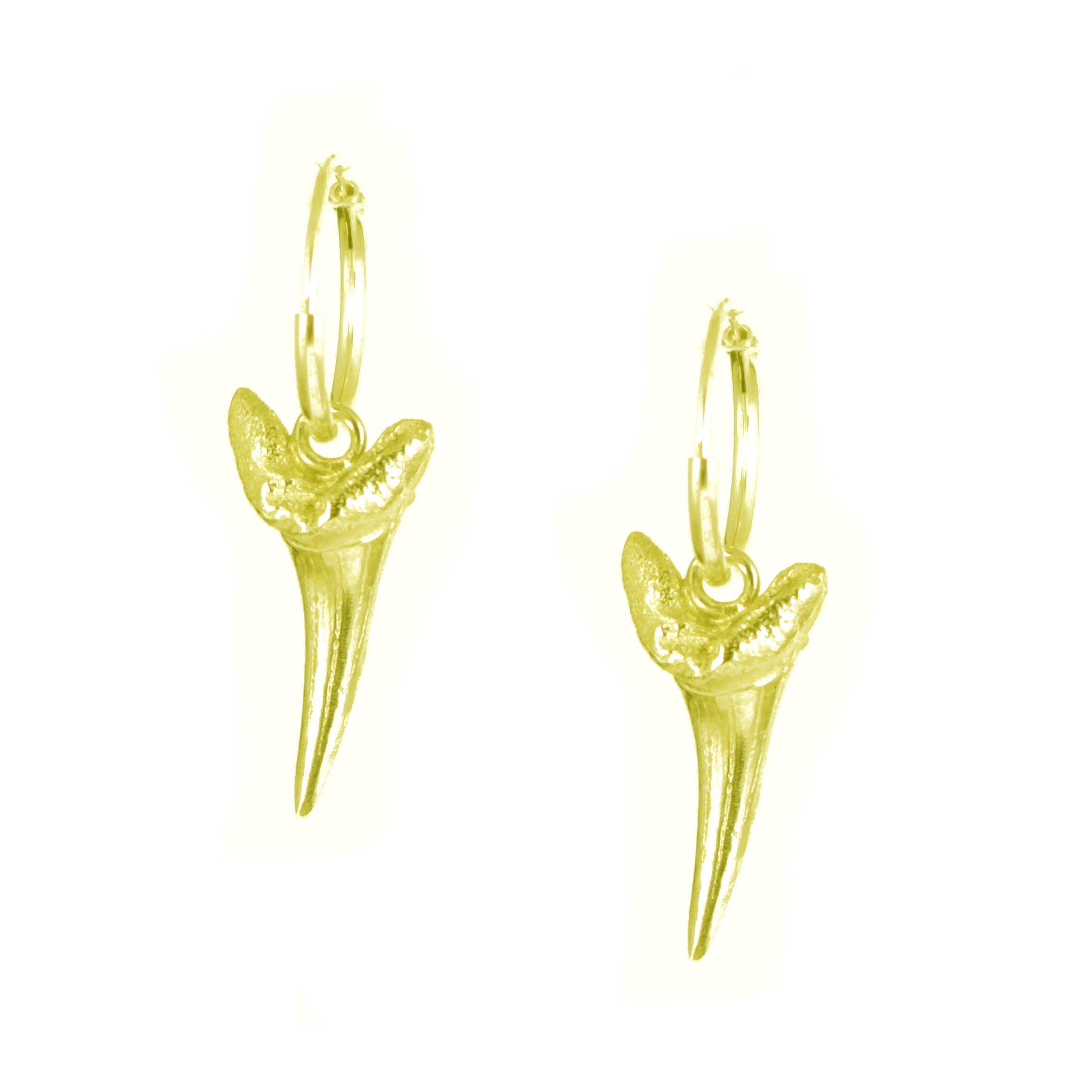 Gold Sharks Tooth Earrings