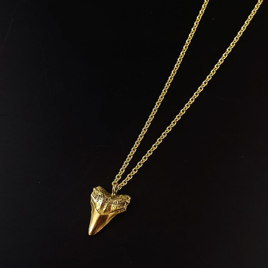 Gold Sharks tooth necklace