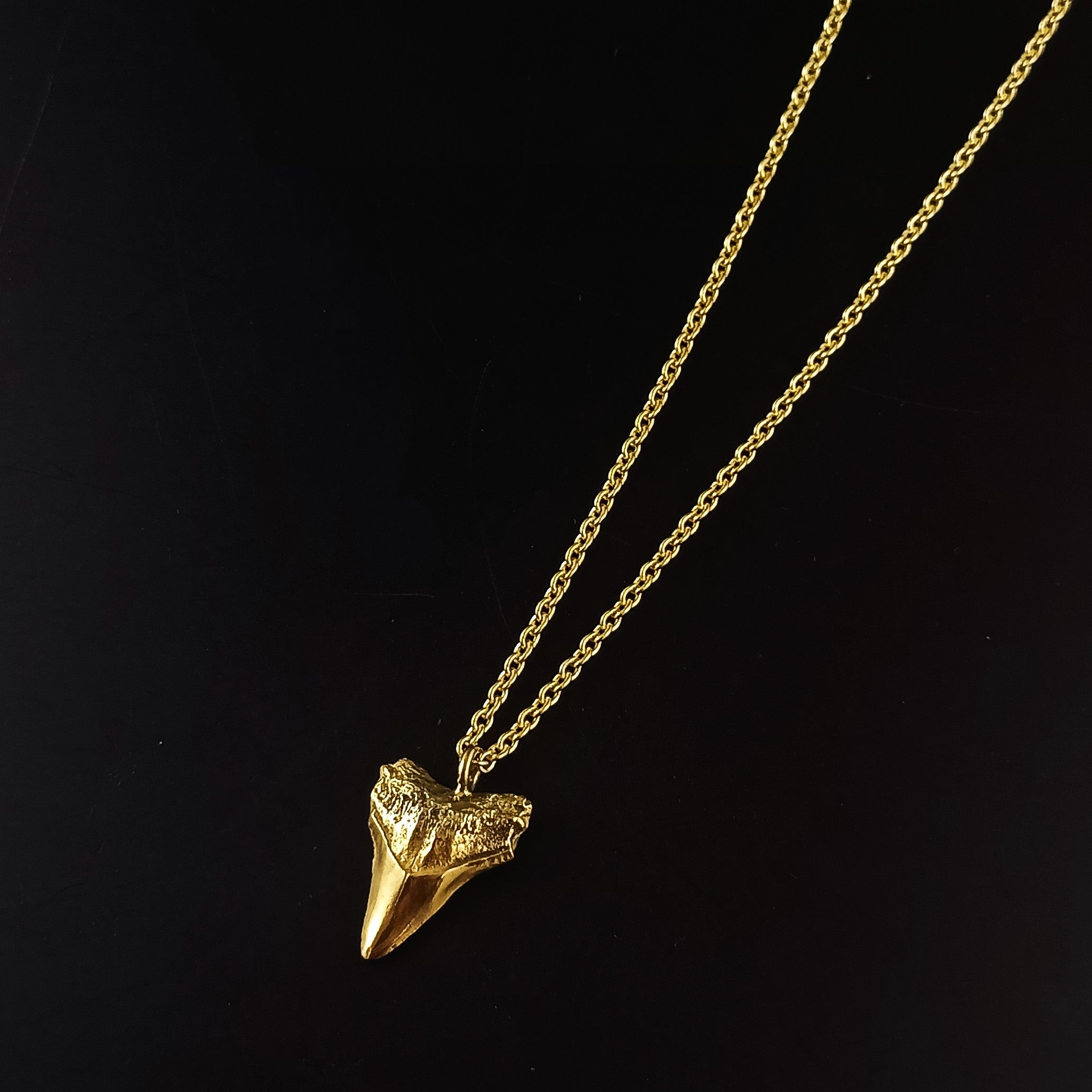 Gold Sharks tooth necklace