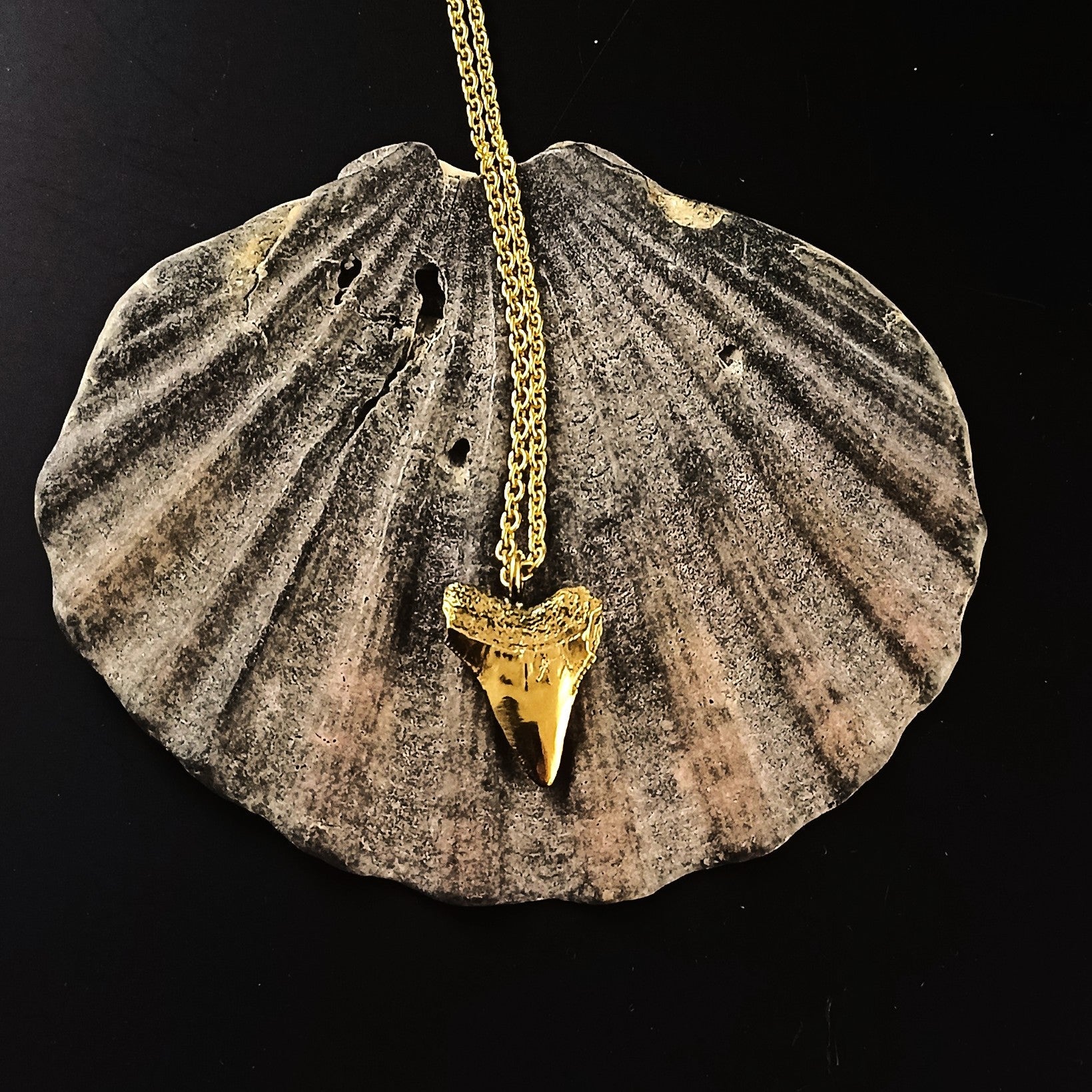 Gold Sharks tooth necklace