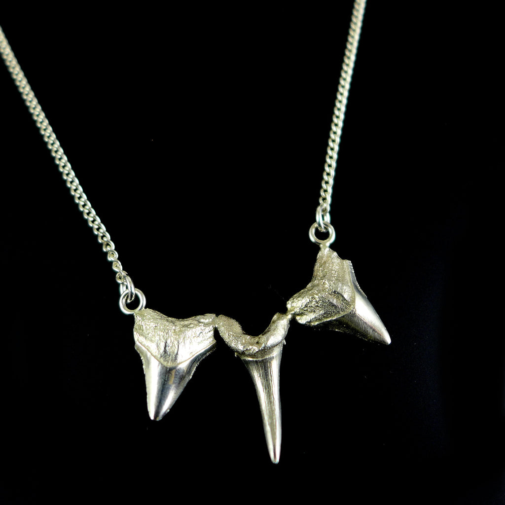 Silver Sharks tooth necklace
